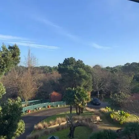 Lumineux Idéalement Situé Apartamento